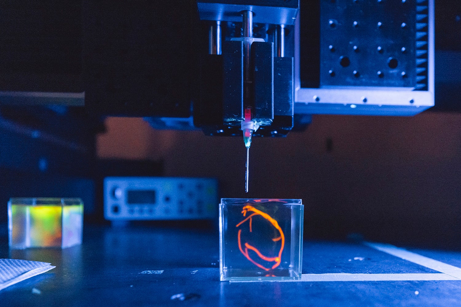 D bioprinter sample